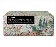 Luca Blossom Reju